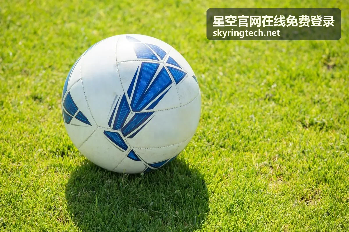 星空官网在线免费登录账号验证与入口界面示意
