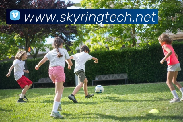 App Interface Preview