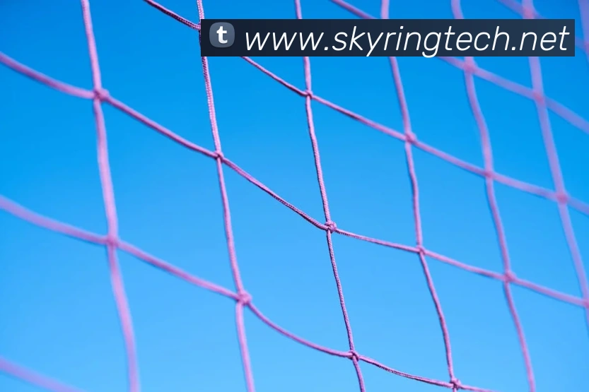 beat365在线唯一官网APP 封面图